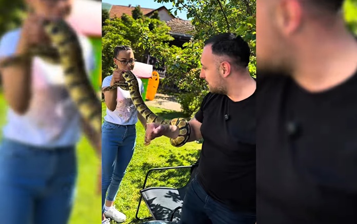 Susret Marka Bubamare i Mile pitona! (VIDEO)